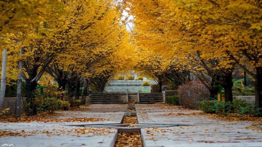 Iranpress: مدينة تبريز، عاصمة البيئة لدول آسيا في عام 2025