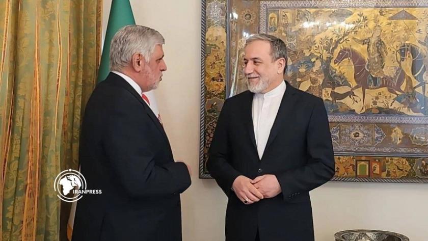 Iranpress: اتصال هاتفي بين عراقجي والسفير الإيراني لدى بيروت