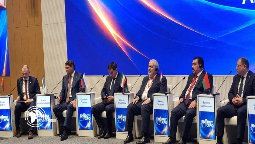 Iranpress: Energy Minister: Iran Ready to Expand Electricity Interconnection With Region